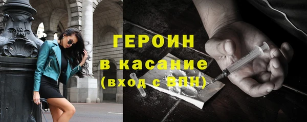 гидра Богородицк