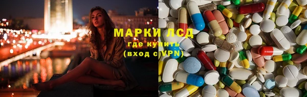 гидра Богородицк
