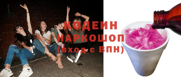 гидра Богородицк