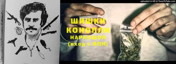 гидра Богородицк