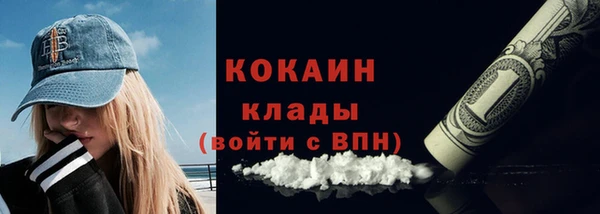 гидра Богородицк