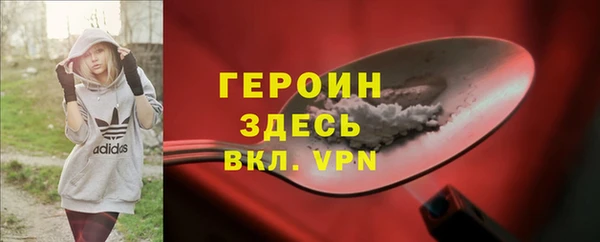 гидра Богородицк