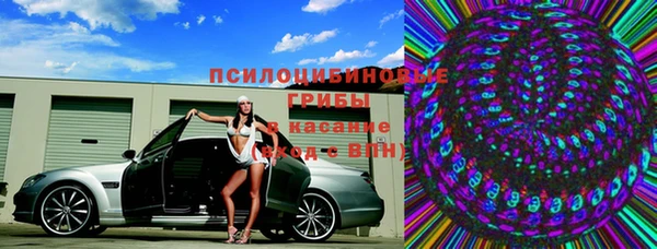 гидра Богородицк