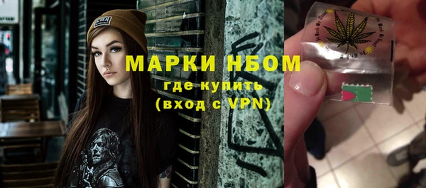 гидра Богородицк