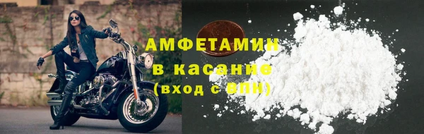 гидра Богородицк